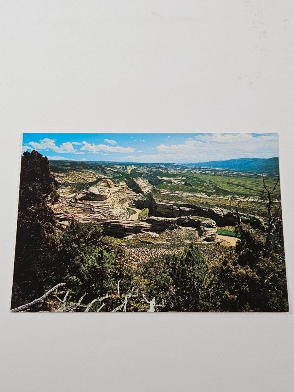 Echo Park from the Harpers Corner Trail Dinosaur National Monument Postcard